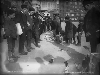 Ein Straßenhändler, New York City, 1903
